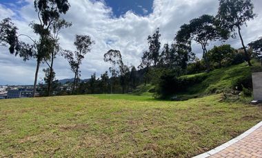 HERMOSOS LOTES DE TERRENO EN NUEVA URB PRIVADA CUMBAYA (a pasos del Club Rancho San Francisco)
