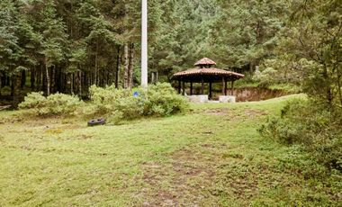 Terrenos en Venta: Despierta donde el bosque te saluda