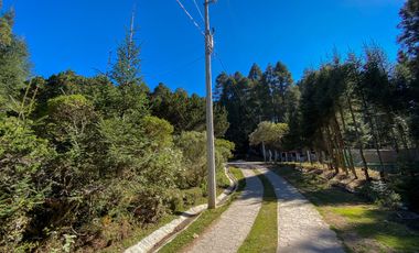 Terrenos en Venta: Despierta donde el bosque te saluda
