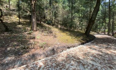 Terrenos en Venta: Despierta donde el bosque te saluda