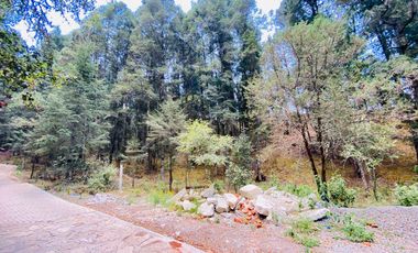 Terrenos en Venta: Despierta donde el bosque te saluda