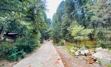 Terrenos en Venta: Despierta donde el bosque te saluda