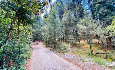 Terrenos en Venta: Despierta donde el bosque te saluda