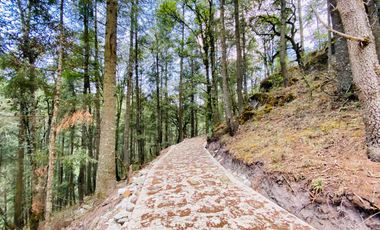 Terrenos en Venta: Despierta donde el bosque te saluda