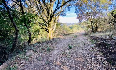 Terrenos en Venta: Despierta donde el bosque te saluda