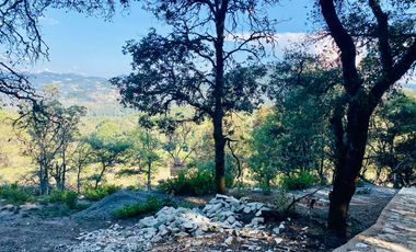 Terrenos en Venta: Despierta donde el bosque te saluda