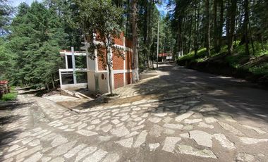 Terrenos en Venta: Despierta donde el bosque te saluda