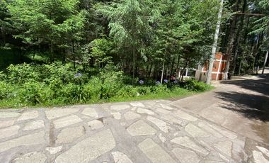 Terrenos en Venta: Despierta donde el bosque te saluda