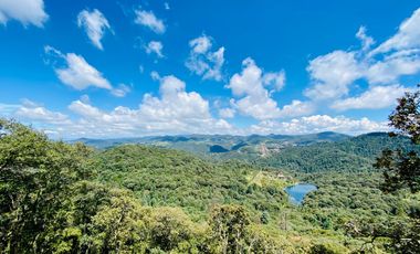 Terrenos en Venta: Despierta donde el bosque te saluda