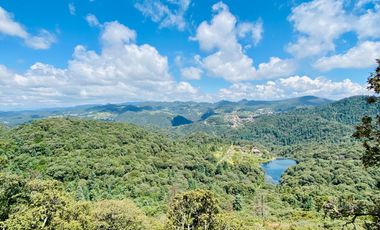 Terrenos en Venta: Despierta donde el bosque te saluda