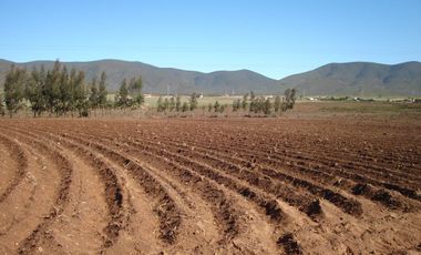 Vendo Terreno Con Amplio Usos Sector Pan De Azucar Coqbo