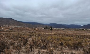 Vendo Terreno Con Amplio Usos Sector Pan De Azucar Coqbo