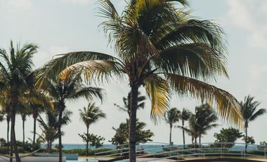 🌴 Vive el Lujo en el Paraíso – Departamento Exclusivo en Marea Azul, Playa del Carmen 🌊