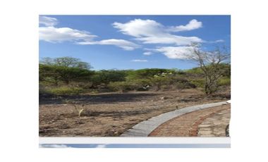 TERRENO EN VENTA EN PEÑA DE BERNAL.