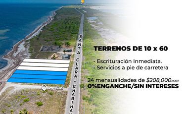 TERRENO EN SANTA CLARA, YUCATÁN, FRONT BEACH