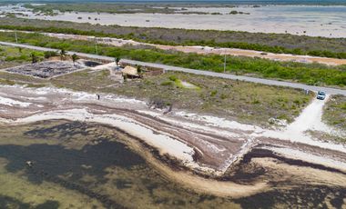 TERRENO EN SANTA CLARA, YUCATÁN, FRONT BEACH