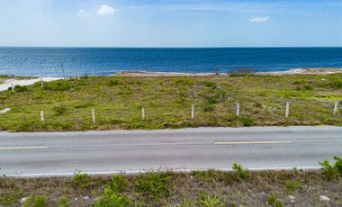 TERRENO EN SANTA CLARA, YUCATÁN, FRONT BEACH