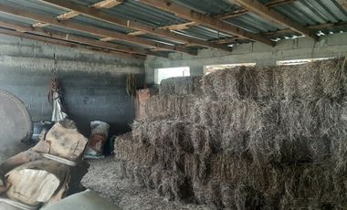 RANCHO EN VENTA EN CADEREYTA JIMENEZ, NUEVO LEON, 104 HECTAREAS, MULTIPLES VIAS DE ACCESO, ZONA DE MUY ALTA PLUSVALIA, A 5 KMS DE C CADEREYTA-ALLENDE
