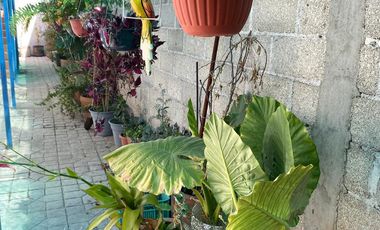 VENTA DE CASA CUAUTITLAN IZCALL