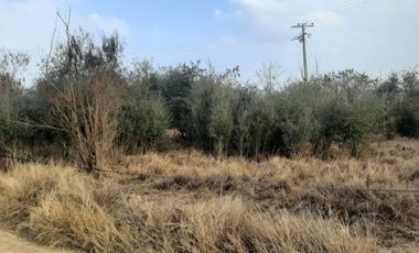 RANCHO EN VENTA EN CADEREYTA JIMENEZ, NUEVO LEON, 41 HECTAREAS, MULTIPLES VIAS DE ACCESO, ZONA ALTA PLUSVALIA, A 10 MIN ENTRONQUE C CADEREYTA-ALLENDE