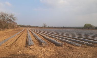 RANCHO EN VENTA EN CADEREYTA JIMENEZ, NUEVO LEON, 41 HECTAREAS, MULTIPLES VIAS DE ACCESO, ZONA ALTA PLUSVALIA, A 10 MIN ENTRONQUE C CADEREYTA-ALLENDE