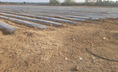 RANCHO EN VENTA EN CADEREYTA JIMENEZ, NUEVO LEON, 41 HECTAREAS, MULTIPLES VIAS DE ACCESO, ZONA ALTA PLUSVALIA, A 10 MIN ENTRONQUE C CADEREYTA-ALLENDE