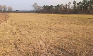 RANCHO EN VENTA EN CADEREYTA JIMENEZ, NUEVO LEON, 41 HECTAREAS, MULTIPLES VIAS DE ACCESO, ZONA ALTA PLUSVALIA, A 10 MIN ENTRONQUE C CADEREYTA-ALLENDE