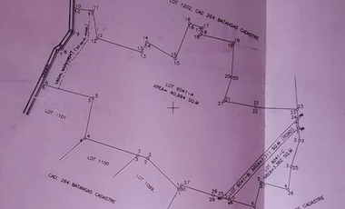 Prime Industrial Lot for Sale – Batangas City (Near Batangas International Port)