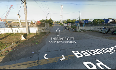 Prime Industrial Lot for Sale – Batangas City (Near Batangas International Port)