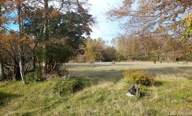 Parcelas de 5.000 mts., Huincacara Villarrica