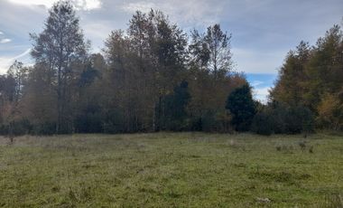 Parcelas de 5.000 mts., Huincacara Villarrica