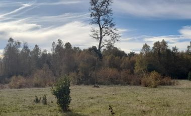 Parcelas de 5.000 mts., Huincacara Villarrica
