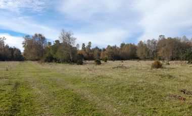 Parcelas de 5.000 mts., Huincacara Villarrica