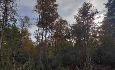 Parcelas de 5.000 mts., Huincacara Villarrica