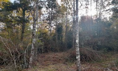 Parcelas de 5.000 mts., Huincacara Villarrica