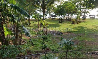 Tanah Kavling Bagus untuk Resort Luas 4,3 Ha dekat Resort Kawasan Archipelago Carita, Pandeglang 21,9 M nego