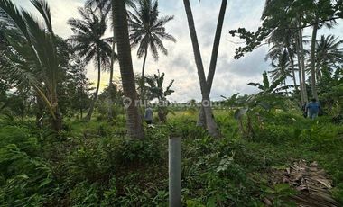 Tanah Kavling Bagus untuk Resort Luas 4,3 Ha dekat Resort Kawasan Archipelago Carita, Pandeglang 21,9 M nego