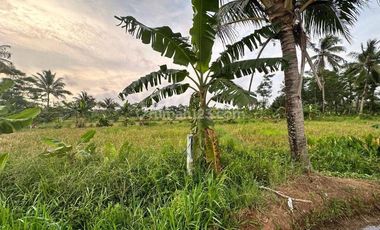 Tanah Kavling Bagus untuk Resort Luas 4,3 Ha dekat Resort Kawasan Archipelago Carita, Pandeglang 21,9 M nego