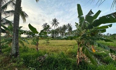 Tanah Kavling Bagus untuk Resort Luas 4,3 Ha dekat Resort Kawasan Archipelago Carita, Pandeglang 21,9 M nego