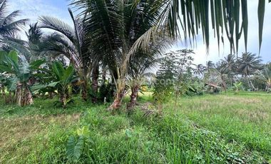 Tanah Kavling Bagus untuk Resort Luas 4,3 Ha dekat Resort Kawasan Archipelago Carita, Pandeglang 21,9 M nego