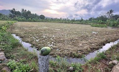 Tanah Kavling Bagus untuk Resort Luas 4,3 Ha dekat Resort Kawasan Archipelago Carita, Pandeglang 21,9 M nego