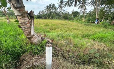 Tanah Kavling Bagus untuk Resort Luas 4,3 Ha dekat Resort Kawasan Archipelago Carita, Pandeglang 21,9 M nego