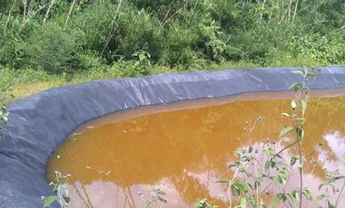 VENTA DE TERRENO XOCHITEPEC