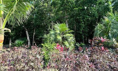 Casa con alberca privada y jacuzzi en venta, Tulum Country Club, Tulum