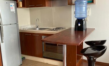 Arriendo cómodo  departamento amoblado e Santiago Centro 1 dormitorio 1 baños, $ 460.000