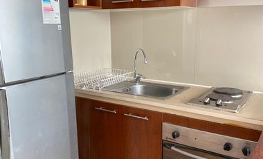 Arriendo cómodo  departamento amoblado e Santiago Centro 1 dormitorio 1 baños, $ 460.000