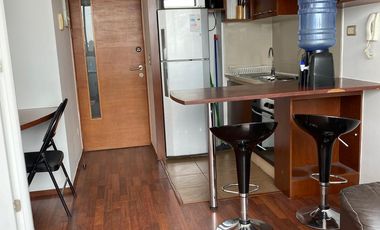 Arriendo cómodo  departamento amoblado e Santiago Centro 1 dormitorio 1 baños, $ 460.000