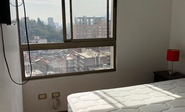 Arriendo cómodo  departamento amoblado e Santiago Centro 1 dormitorio 1 baños, $ 460.000