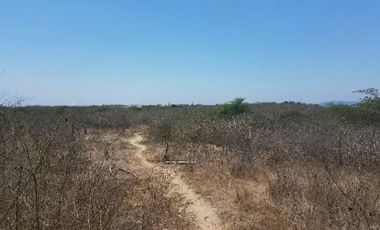 Venta de terreno, sector El Aromo - Manta