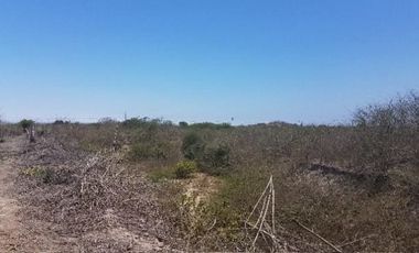 Venta de terreno, sector El Aromo - Manta